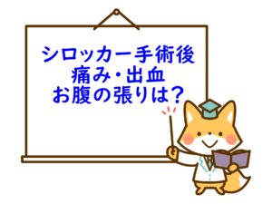 イメージカタログ 最高 50 シロッカー 手術 後 生活